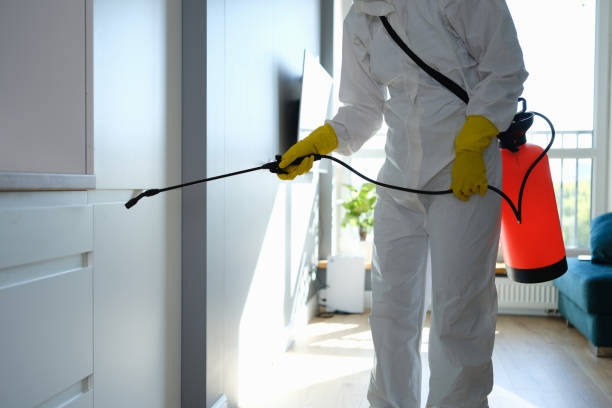 Best Residential Mold Remediation in Lexington, OH