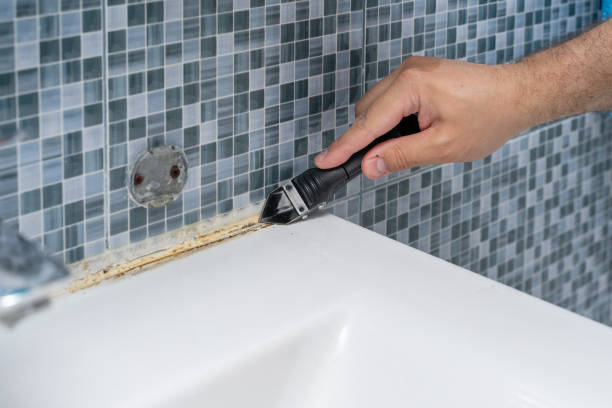 Trusted Lexington, OH Mold Remediation Experts