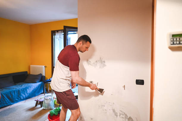 Best Residential Mold Remediation in Lexington, OH